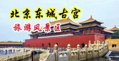 操逼喷水的视频中国北京-东城古宫旅游风景区